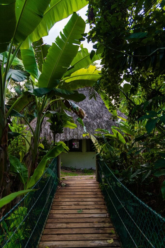 the walkway to a cabana at jade jungle resort