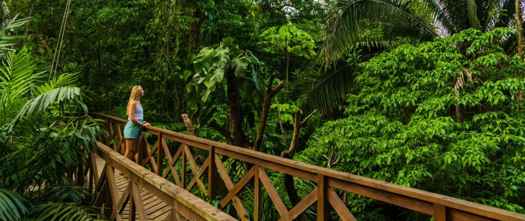 a woman stands on a wooden walkway in the jungle