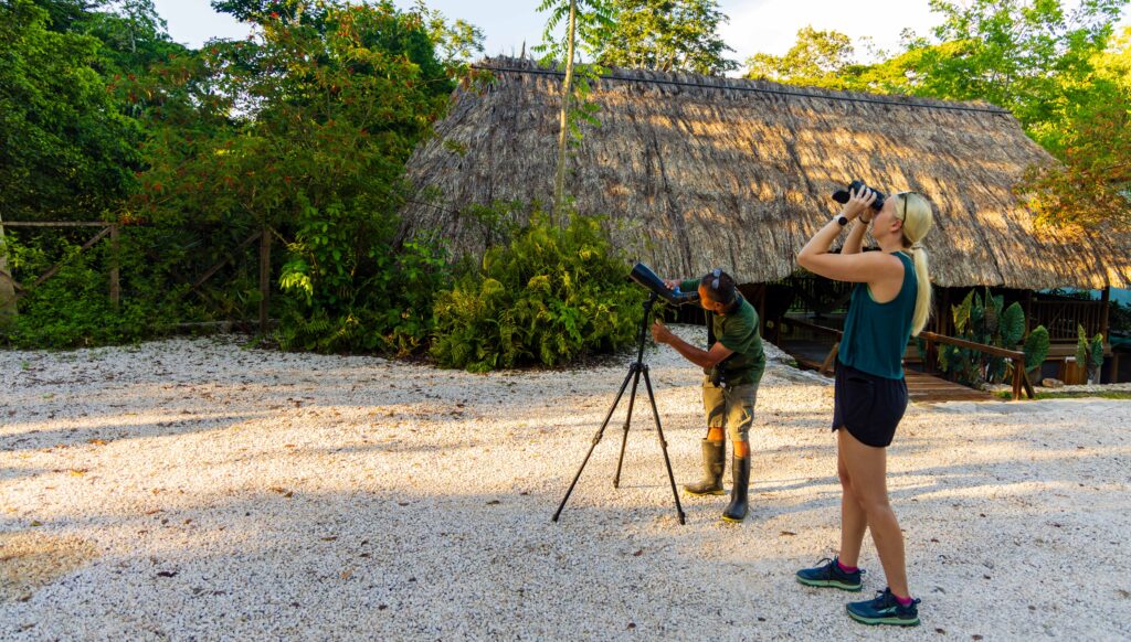 two people bird watching in belize