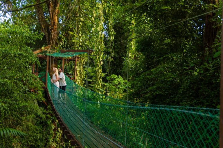 a couple looks out at the jungle while standing on a hanging bridge in belize