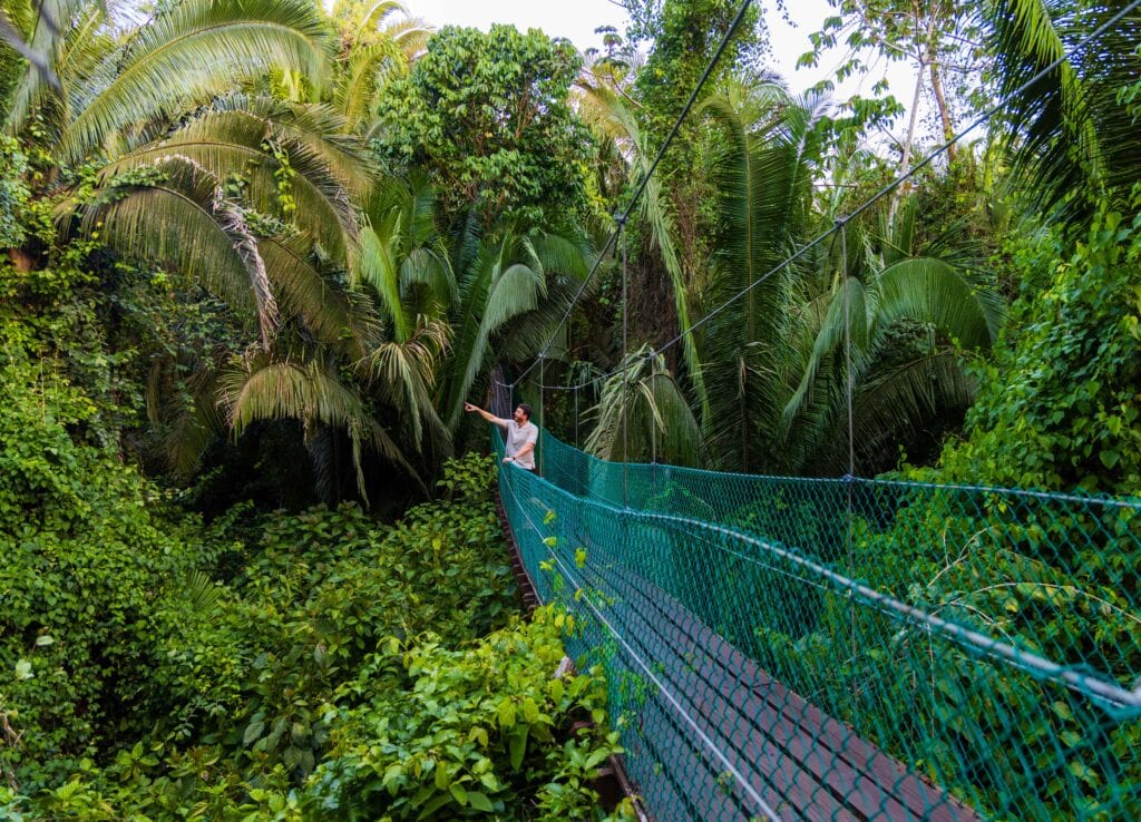 a man points out while standing on a hanging bridge