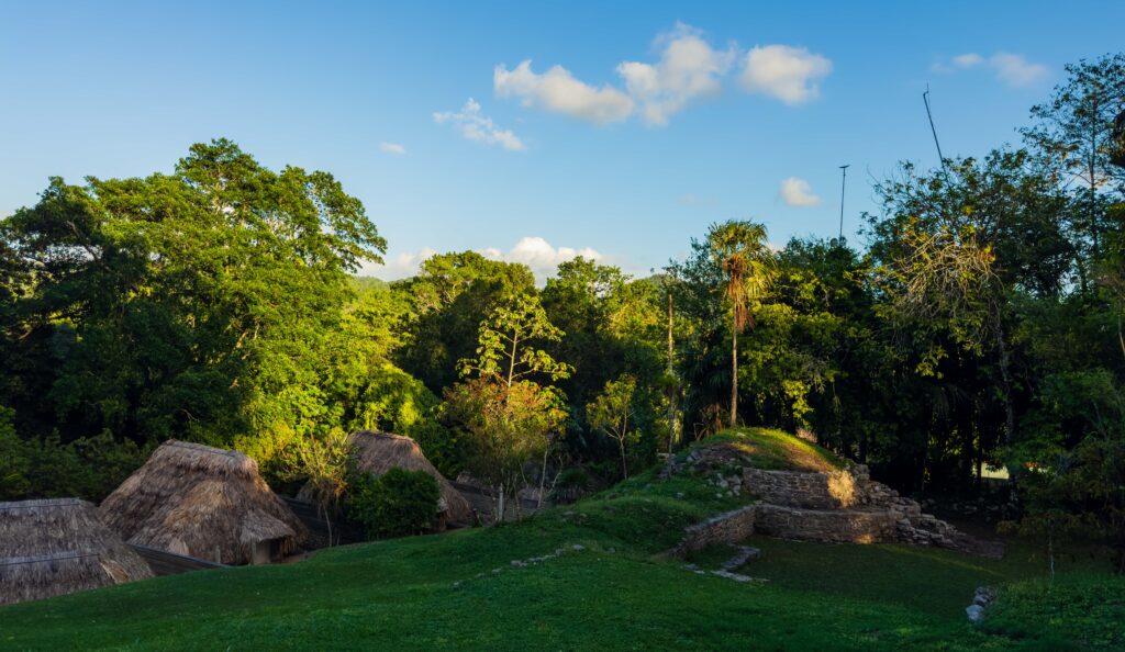 looking out from above the mayan ruins at the jungle view cabanas in belize