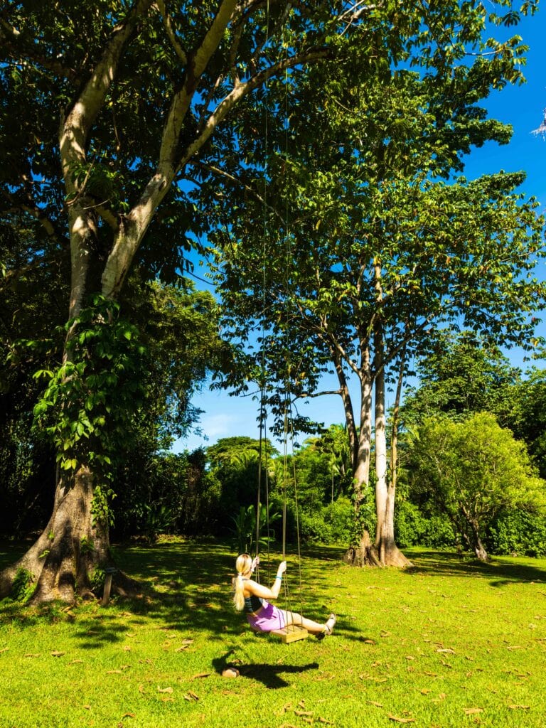a woman on a swing in belize