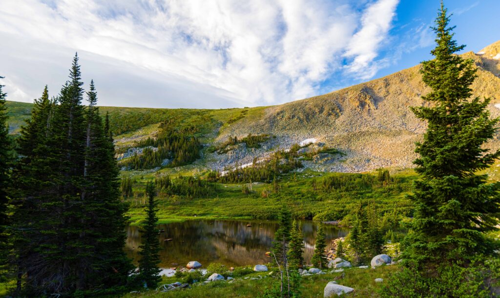 a lake and trees with a mountain behind it