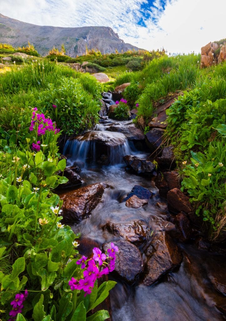 a small creek flows over rocks with green around it