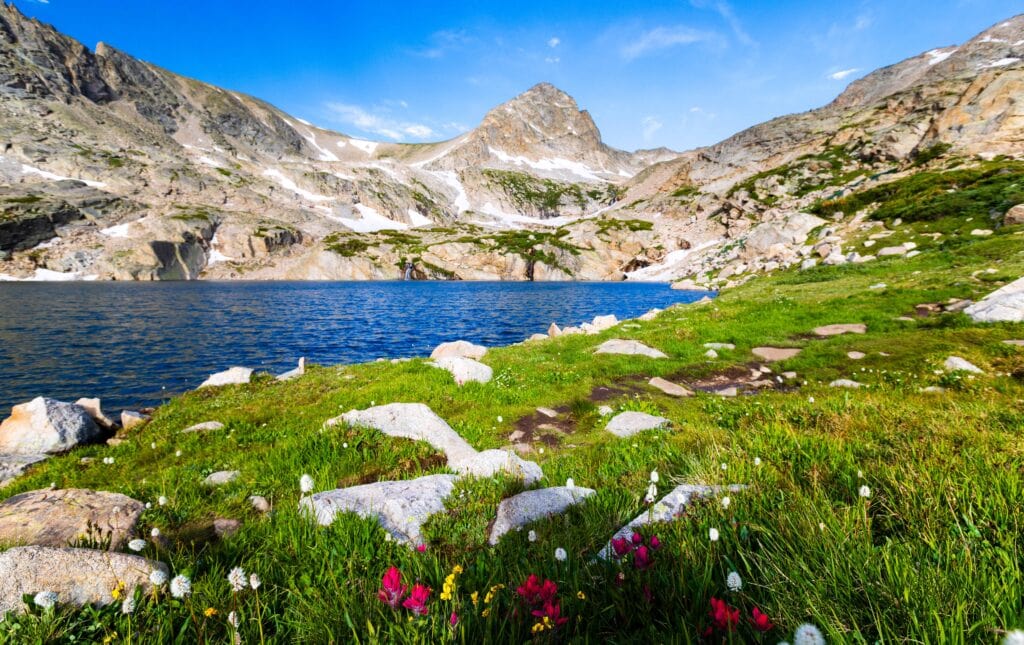 red wildflowers in the foreground and a big mountain peak in the background