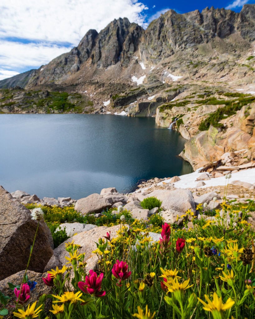 red and yellow flowers with a lake and mountain peaks behind it