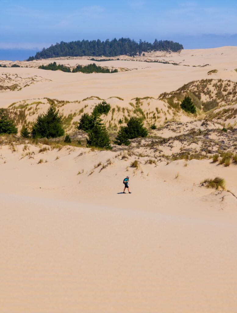 a male hiker walks on the sandy oregon dunes