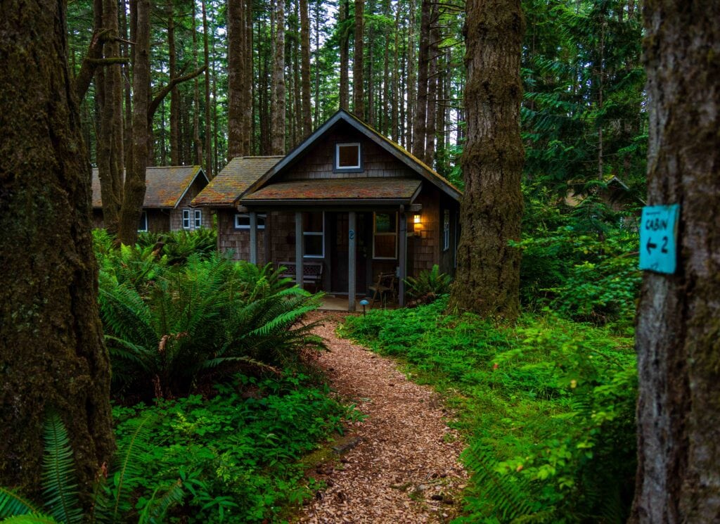 Rustic cabin exterior at dusk with lit windows, surrounded by trees