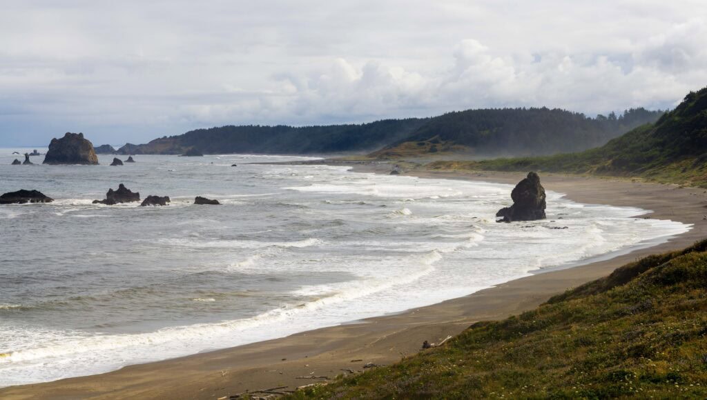 Oregon coast shoreline with rolling waves under grey skies