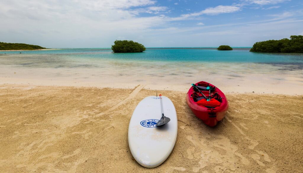 a kayak and paddleboard sit on the beach
