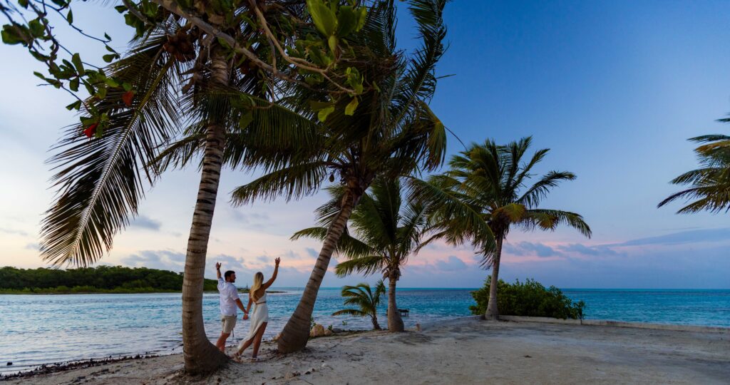 two people stand under palms trees at susnet