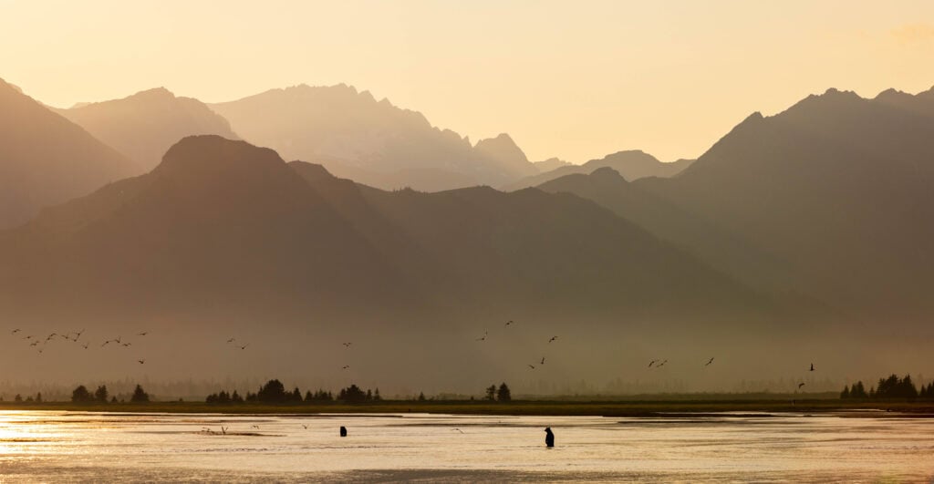 sunset colors with mountains in the distance and bears in the water