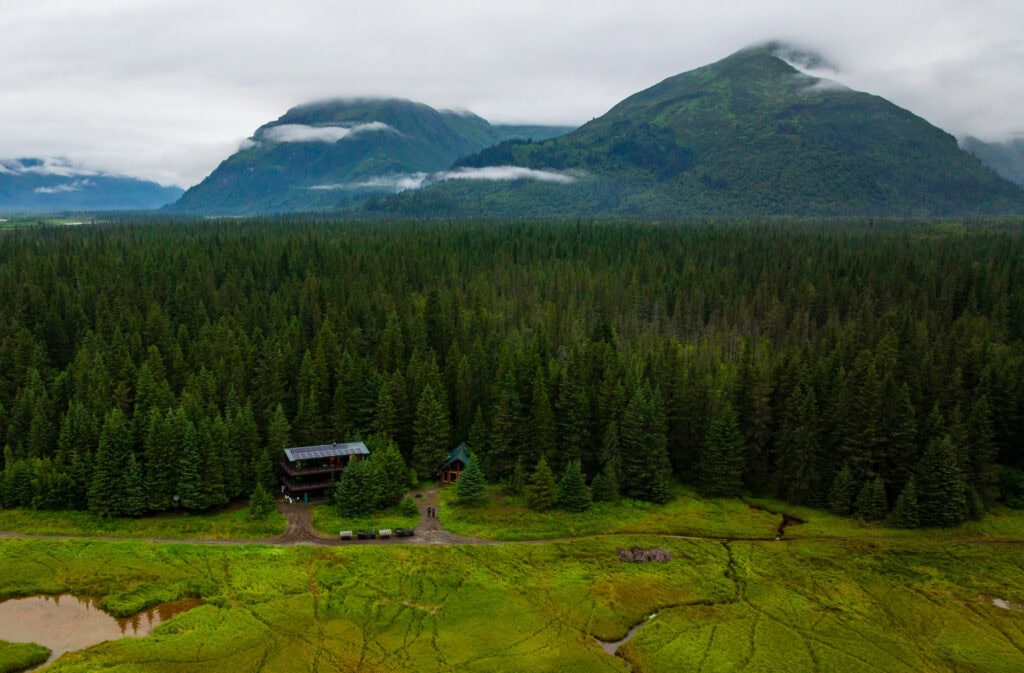 brown bear bay lodge and suites