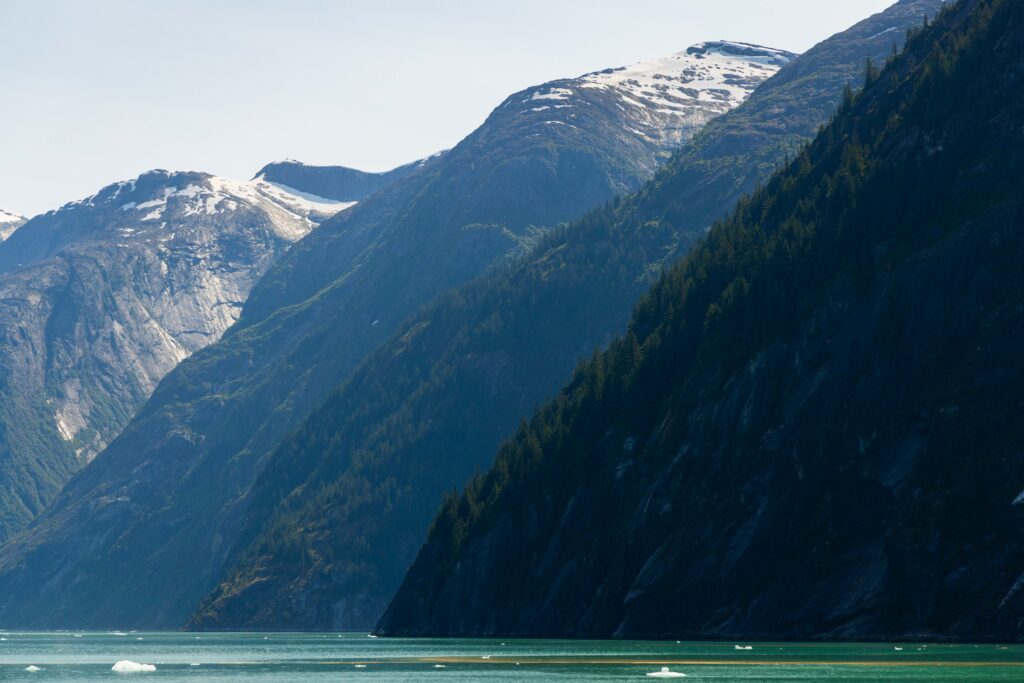 the steep walls of an alaskan fjord with trees and snow