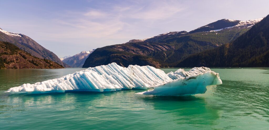 a big iceberg floats in the endicott arm