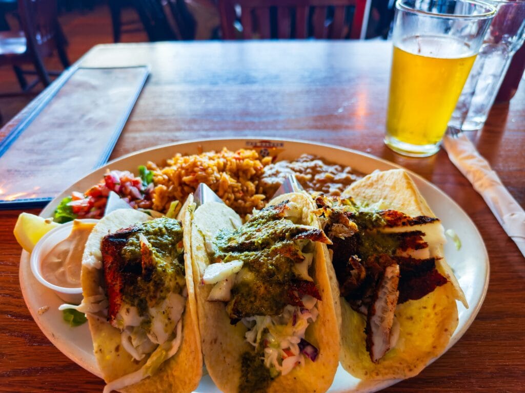 halibut tacos and a beer