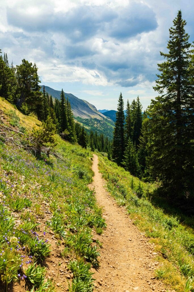 trees and a trail cutting through the landscape on lake dorothy hike