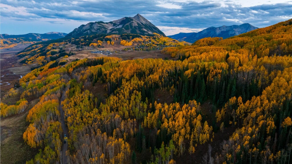 aspens in crested butte along the gothic road