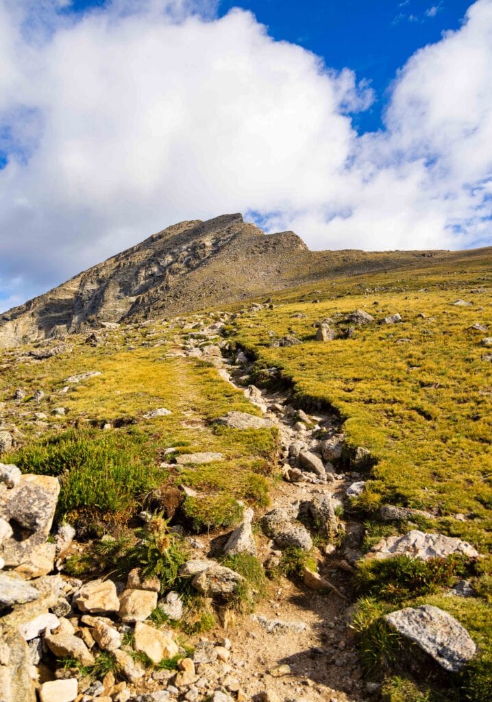 the trail slicing through the alpine below the summit
