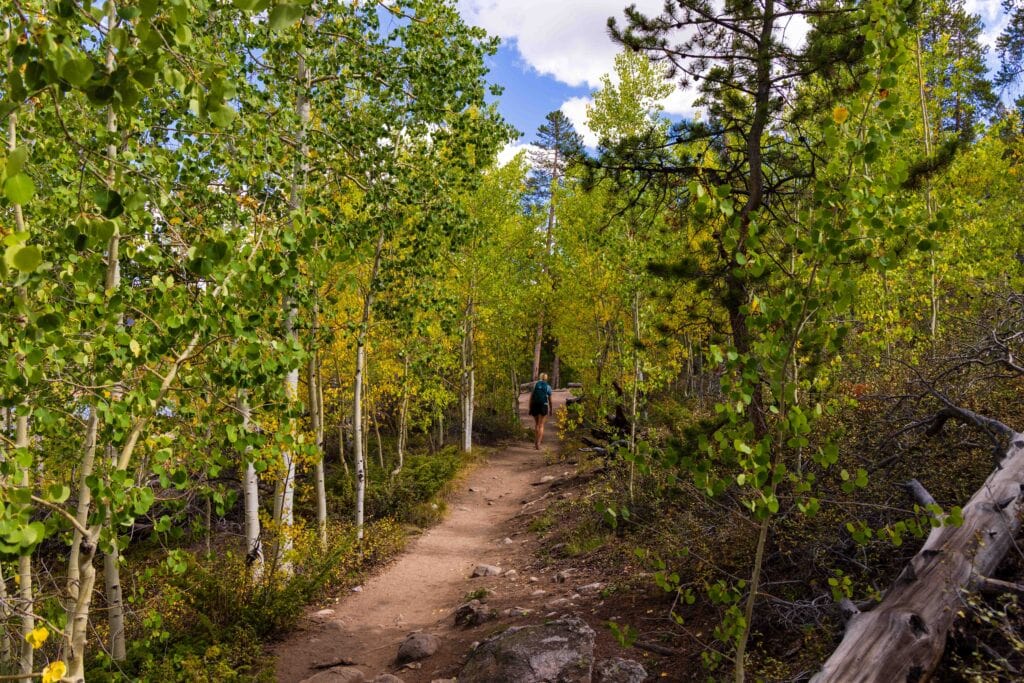 Hiker walking a forest trail through green and gold aspens