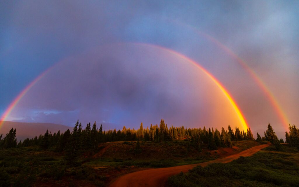 a double rainbow with trees at the bottom of the frame