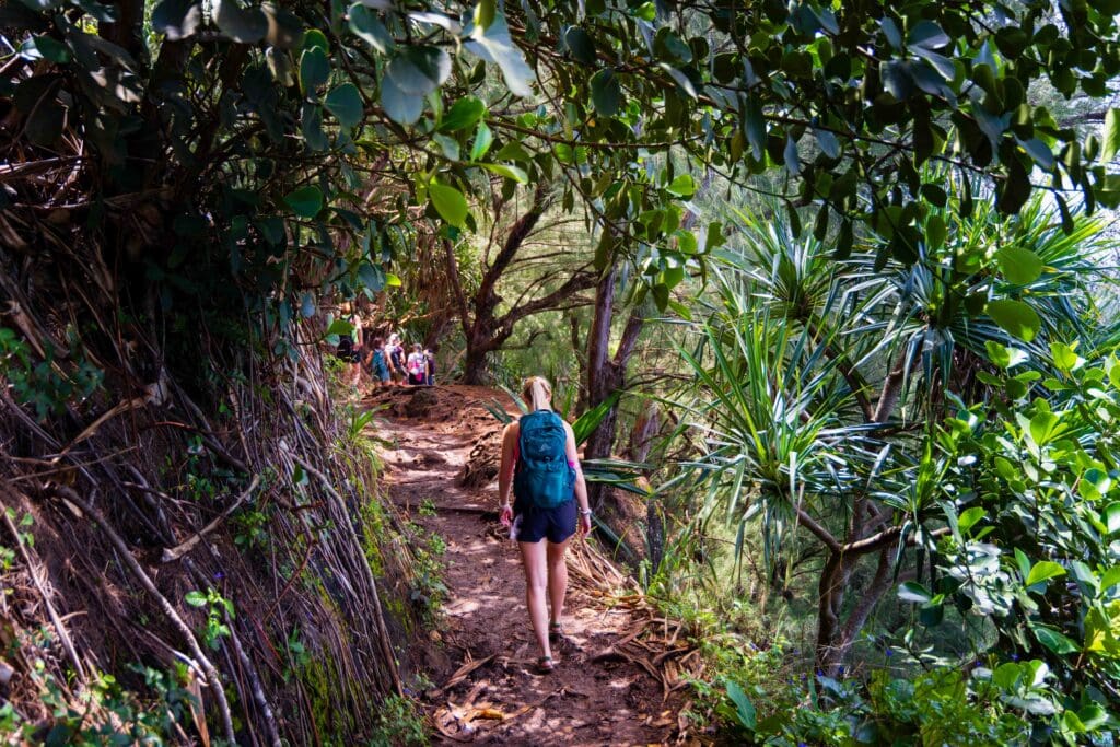 a hiker on the muddy trail with a canopy of green trees around her
