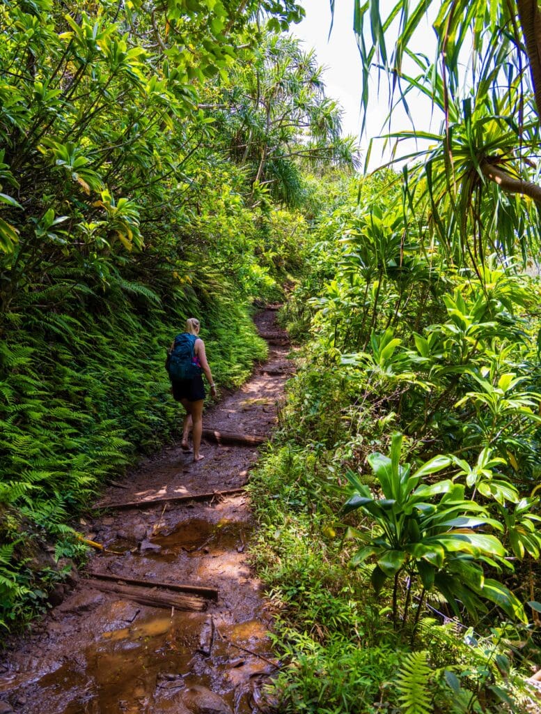 a hiker on the muddy hanakapiai beach hike