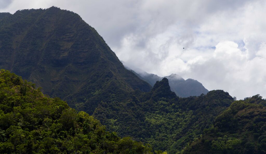 the green slopes of the na pali coast in kauai
