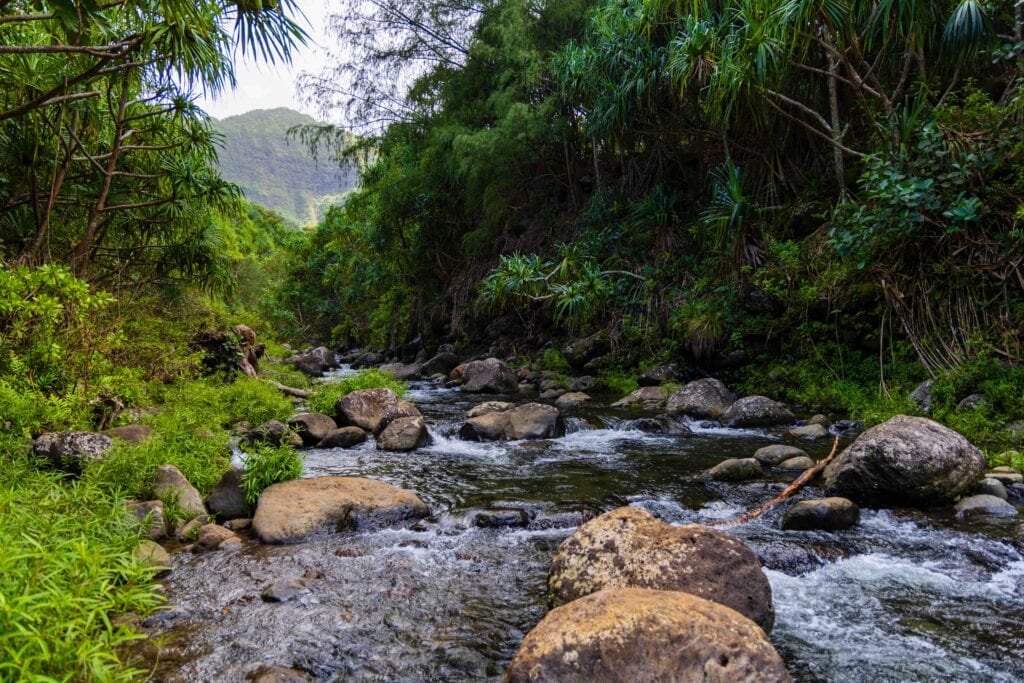 Hanakapi'ai stream on the kalalau trail