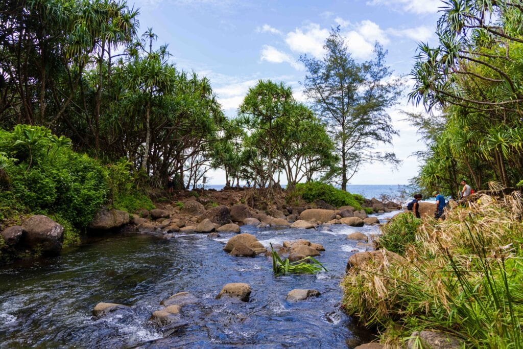 Hanakapi'ai stream on the kalalau trail