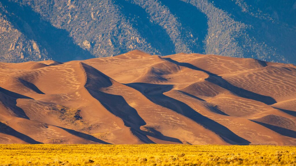 the great sand dunes national park in colorado with long shadows
