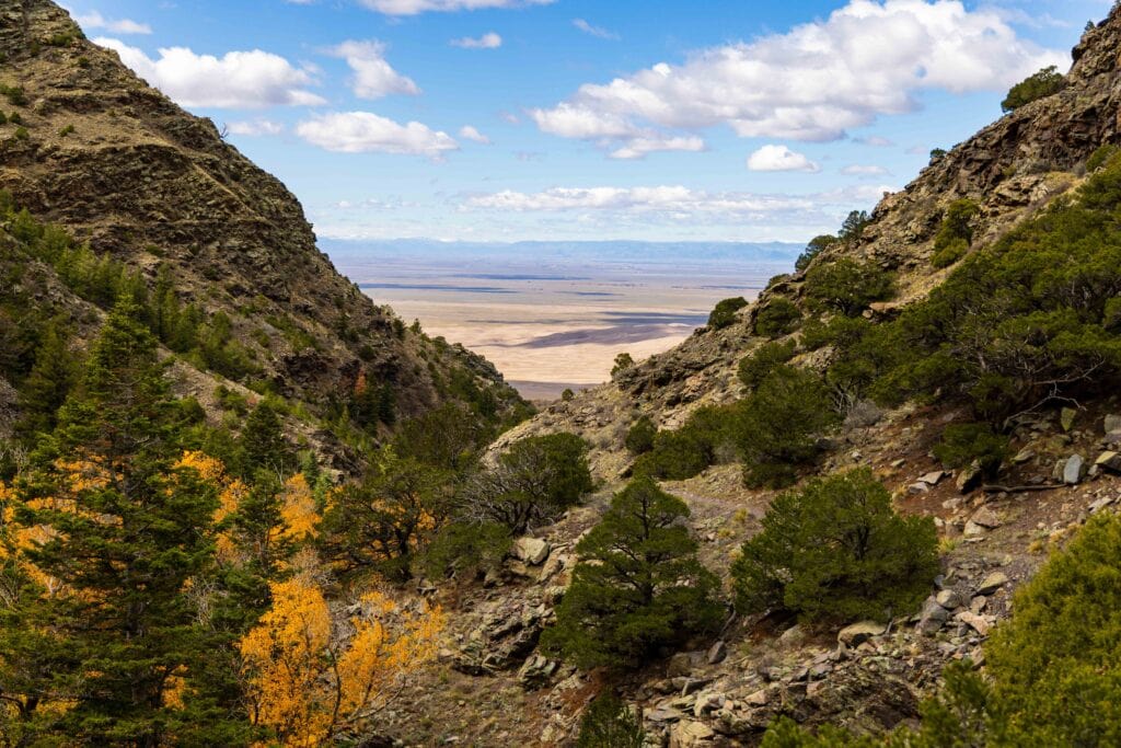 the view looking out from the mosca pass trail at sand dunes and trees